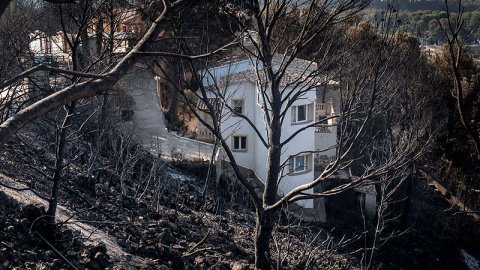 Urbanizaciones Montepino y Montesol afectadas por el incendio forestal de Llutxent, en Gandía. Greenpeace/Pedro Armestre