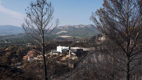 Urbanizaciones Montepino y Montesol afectadas por el incendio forestal de Llutxent, en Gandía. Greenpeace/Pedro Armestre