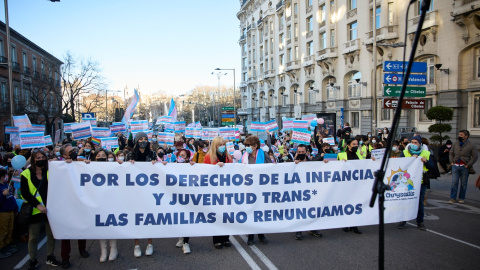 Concentración por los Derechos Humanos de la Infancia y Juventud Trans, frente al Congreso de los Diputados, a 29 de enero 2022, en Madrid.