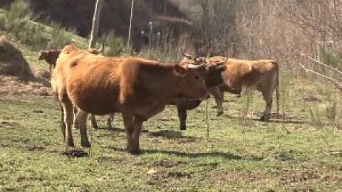 Una pareja de granjeros denuncia homofobia en un pueblo del Bierzo