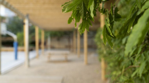 Los elementos vegetales se incorporan con más presencia "verde" en los patios escolares.