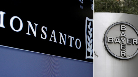 Los logos de Monsanto y de Bayer. REUTERS