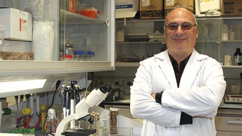 Francisco Juan Martínez Mójica, director del departamento de Fisiología, Genética y Microbiología de la Universidad de Alicante. /DIARIO MÉDICO