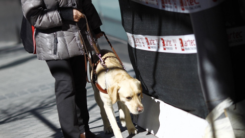 Varias comunidades han regulado de manera específica el empleo de perros guía.