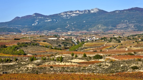 Los trazados del TAV que plantea Fomento acabarían con los viñedos de la Rioja Alavesa. BLOG RIOJA ALAVESA