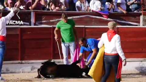 Barbarie y burla en las becerradas de El Espinar