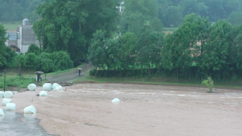 Algunes de les bales de palla que ha arrossegat la riuuada a la Vall de Bianya