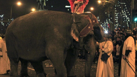 Dos elefantes en la cabalgata de Madrid en 2013. EFE