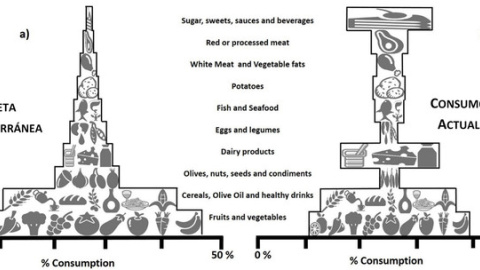 Comparación de la dieta mediterránea estimada en hogares españoles (a), con la dieta actual (b), separada por grupos alimenticios. / Science of the Total Environment