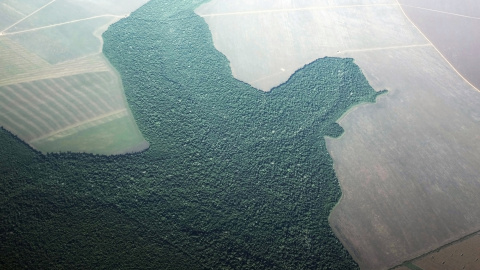 Vista general de la tala de árboles en el Amazonas. REUTERS