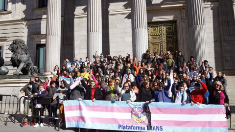 Miembros de la plataforma trans se concentran a las puertas del Congreso mientras que la portavoz de Podemos. EFE