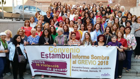 Organizaciones sociales elaboran un informe "sombra" sobre los incumplimientos de España del Convenio de Estambul