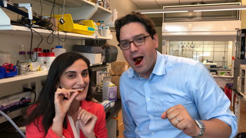 Canan Dagdeviren y Giovanni Traverso muestran en su laboratorio del MIT los sensores flexibles tragables para vigilar los movimientos intestinales. MIT