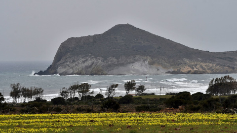 Imagen de la Bahia de Los Genoveses en el Parque Natural Cabo de Gata - Nijar ( Almería)