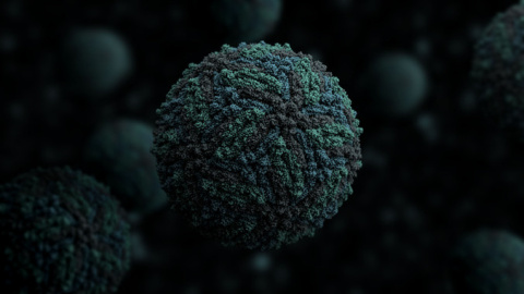 07/08/2019 Imagen en 3D del virus del Zika / MANUEL ALMAGRO RICAS (SINC)