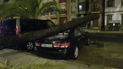 La borrasca Bernard deja un muerto y numerosos destrozos en Andalucía