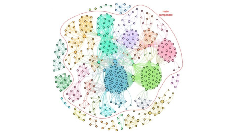 Representación gráfica de la red de corrupción en 65 casos destapados en Brasil. Cada punto representa un individuo y las líneas indican las relaciones entre ellos. JOURNAL OF COMPLEX NETWORKS