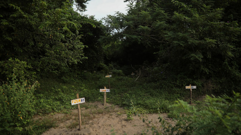 Placas hechas con madera marcan los hallazgos de fosas clandestinas en el predio de Colinas de Santa Fe, uno de las más grandes de América Latina, en Veracruz (México).