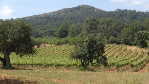 Terres de Can Majoral, a Mallorca. CAN MAJORAL