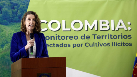 La directora regional de UNODC para la región Andina y el Cono Sur, Candice Welsch, en la presentación en Bogotá (Colombia) del informe anual de la Oficina de las Naciones Unidas contra la Droga y el Delito. EFE/ Mauricio Dueñas Castañeda