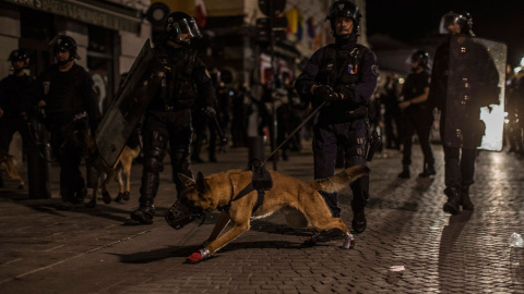 Una hilera de policías con un perro hace una redada en busca de ultras violentos en Marsella. /EFE