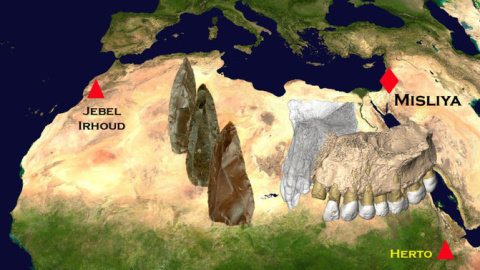 Localización de las herramientas y fósiles encontrados en Misliya (200.000-175.000 años de antigüedad) y Jebel Irhoud (315.000 años de antigüedad). / Rolf Quam-Binghamton University