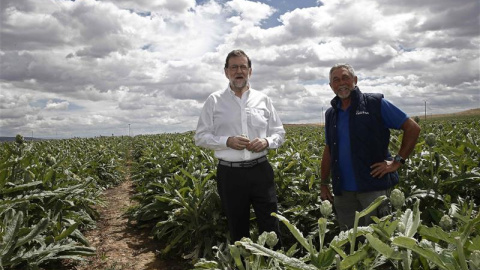 El presidente del Partido Popular y del Gobierno en funciones, Mariano Rajoy, durante la visita que ha realizado hoy a la finca de cultivo de alcachofas "Castel Ruiz". /EFE