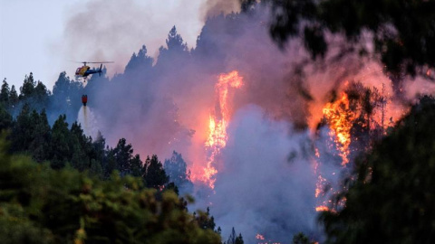 Un dispositivo de emergencia trabaja en la extinción de un incendio en el municipio de grancanario de Valleseco, el tercero importante que se ha declarado en la isla en los últimos ocho días y cuando aún los otros dos no se han dado por ext