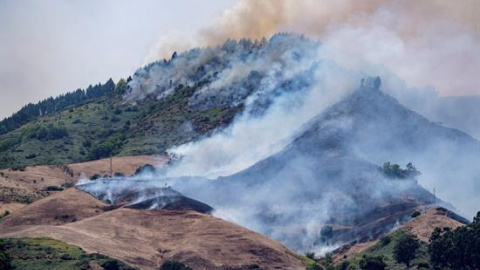 Vista del incendio forestal que comenzó el sábado en la isla de Gran Canaria . EFE/Angel Medina