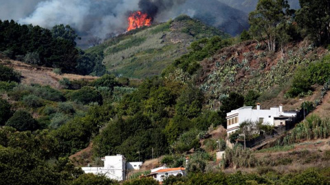 El incendio forestal declarado en Gran Canaria está sin control, es un fuego "muy virulento", ha provocado el desalojo de unas 4.000 personas de cuarenta núcleos poblacionales y ya ha afectado a entre 1.500 y 1.700 hectáreas. EFE/ Ángel Med