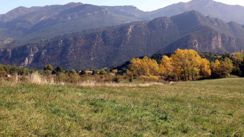 Els camps on es vol ubicar la central, on hi havia mineria a cel obert