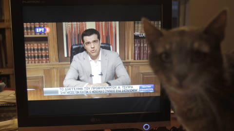 Un gato junto a un televisor que emite el mensaje televisado del primer  ministro griego, Alexis Tsipras, anunciando el cierre de los bancos y controles de capital.. EFE/EPA/ORESTIS PANAGIOTOU