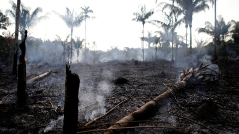 Una de las zonas afectadas por el fuego en la selva del Amazonas. / Reuters