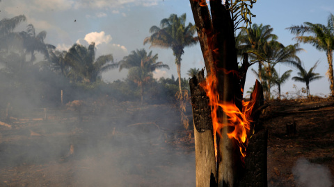 Un tramo de la Amazonia quemado por leñadores y granjeros para limpiar el terreno en Iranduba. / Reuters