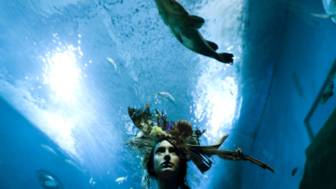 Una modelo con una creación de Luis Benítez posa durante una sesión urbana que forma parte de 'Andalucía Moda' en un acuario en Sevilla, al sur de España, 11 de noviembre de 2015. REUTERS / Marcelo del Pozo