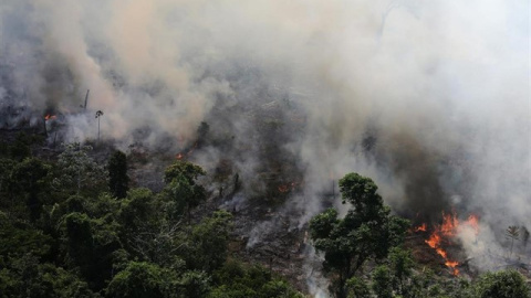 Incendio en el Amazonas / REUTERS - NACHO DOCE