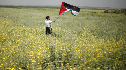 Un hombre ondea la bandera palestina en los territorios de Gaza. REUTERS