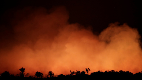 Los incendios en la selva del Amazonas han acaparado toda la atención, pero no son los únicos ni más graves. / Reuters