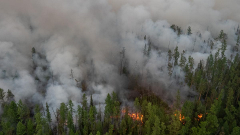 En Siberia todavía continúan activos más de 200 incendios, según las autoridades. / Reuters