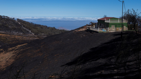 Así quedó el terreno afectado por los incendios de Gran Canaria que tuvieron lugar este mes de agosto. / Reuters