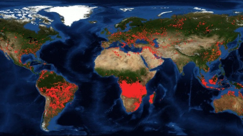 Captura de las imágenes satélite de la NASA que muestran los focos de incendios activos en el planeta. / FIRMS (NASA)