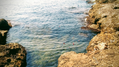 Varias personas arrojan rosas rojas en memoria de las víctimas del bombardeo, el año pasado, en el paseo marítimo Juan Aparicio, jerarca de la dictadura.