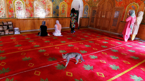 Un gato camina tras unas mujeres musulmanas que rezan en una mezquita durante el Ramadan en Srinagar. REUTERS/Danish Ismail