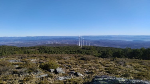 4/11/22Terreno donde se prevé levantar el nuevo parque de Tramontana, con los molinos del parque de Iberdrola al fondo.