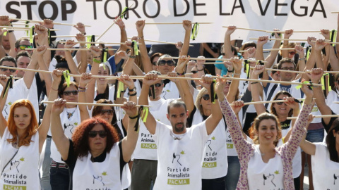 Manifestación contra el Toro de la Vega convocada por el PACMA | EFE