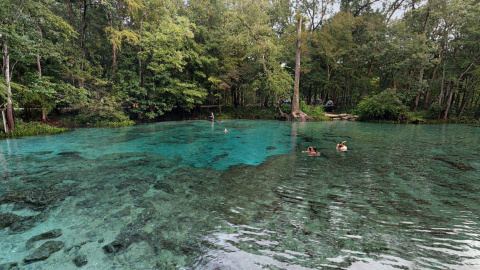 Los Ginie Springs. Google Maps