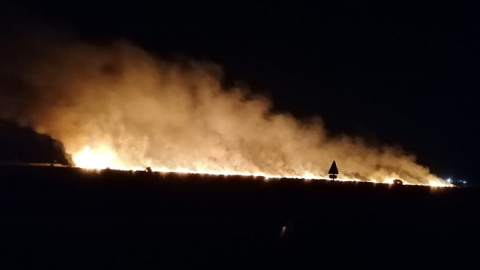 Incendio en la marisma de Entremuros, en el Espacio Natural DoÃ±ana