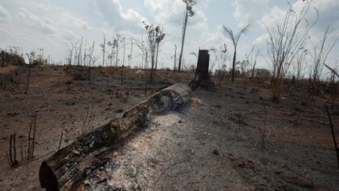 Una de las áreas destruidas por fuego en la selva amazónica | EFE