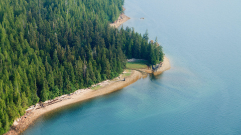 Bosque Nacional Tongass. FLICKR/Alan Wu