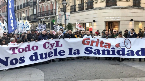 Manifestación por la sanidad pública en Valladolid.